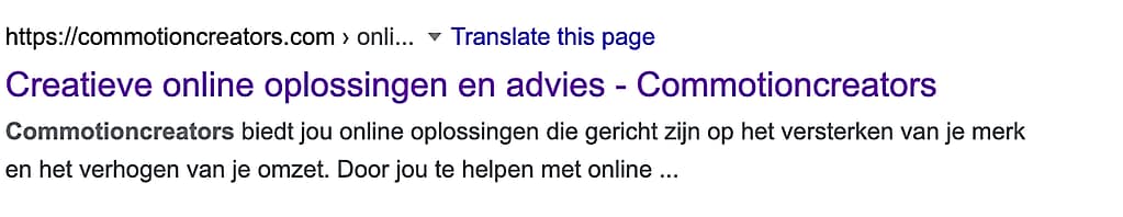 hoe werkt een zoekpagina in Google