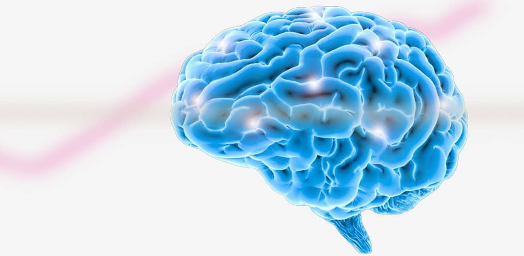 Neuromarketing principes